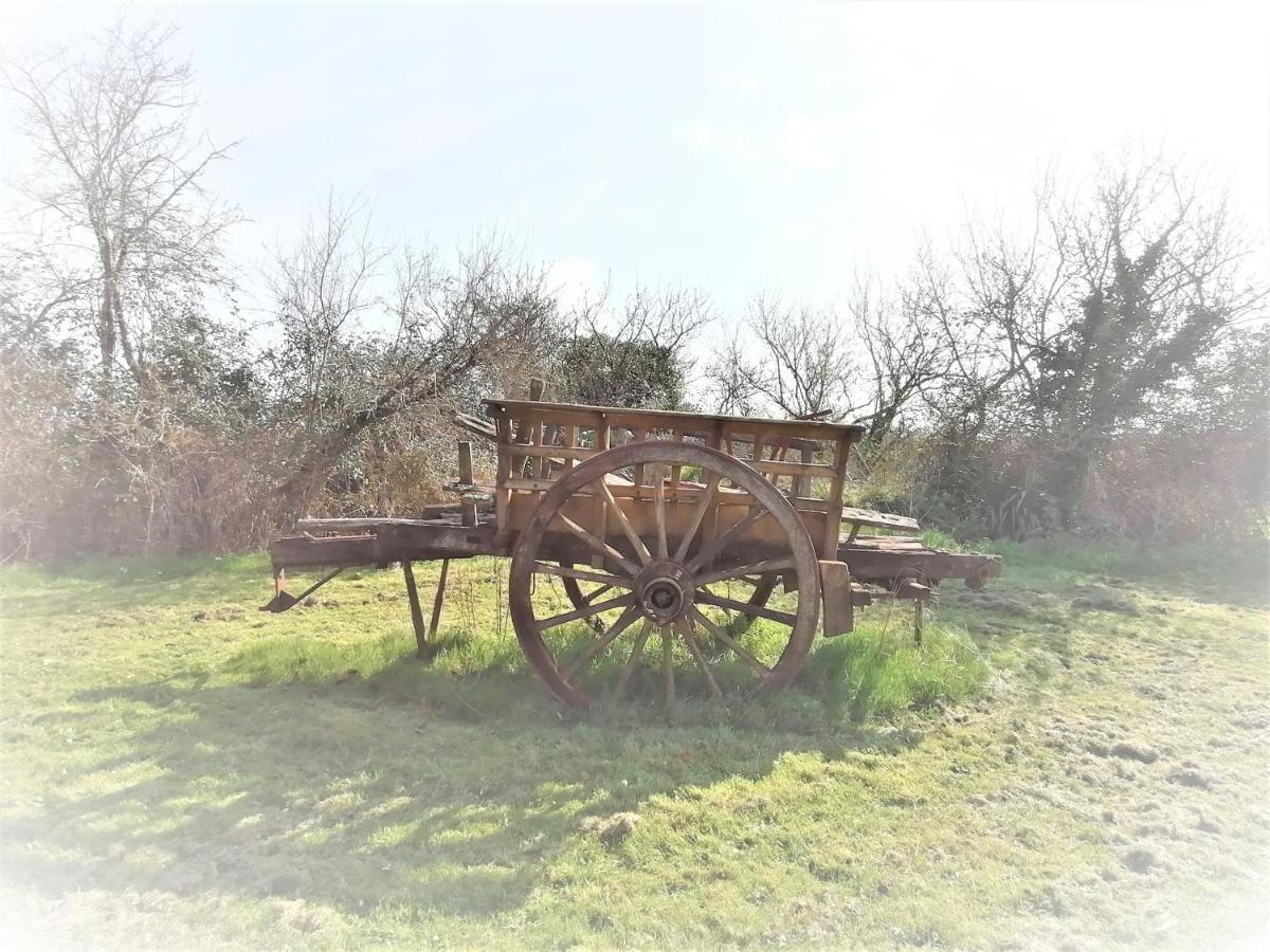 Domaine De Gaia, Piscine, Petanque, Ping Pong, Proche Saint-Emilion Bed & Breakfast Guillac  Luaran gambar